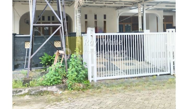 32 MILLION NEGOTIABLE FOR RENT HOUSE MOROTAI ISLAND ANTASARI BANDAR LAMPUNG 32 MILLION NEGOTIABLE FOR RENT HOUSE MOROTAI ISLAND ANTASARI BANDAR LAMPUNG