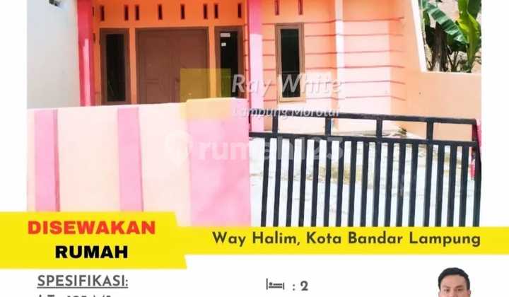 19 MILLION PER YEAR FOR RENT HOUSE NEAR LAMPUNG WALK URIP SUMOHARJO HOSPITAL BANDAR LAMPUNG 19 MILLION PER YEAR FOR RENT HOUSE NEAR LAMPUNG WALK URIP SUMOHARJO HOSPITAL BANDAR LAMPUNG