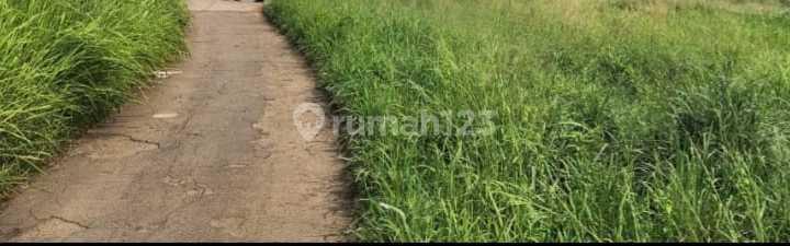 TANAH DI TEPI JALAN RAYA DIDALAM KOTA SERANG TANAH DI TEPI JALAN RAYA DIDALAM KOTA SERANG