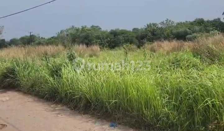 TANAH DI TEPI JALAN RAYA DIDALAM KOTA SERANG TANAH DI TEPI JALAN RAYA DIDALAM KOTA SERANG