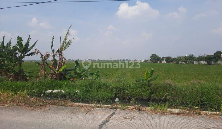 Dijual Tanah Di Tambun Utara Harga Cakep Abiezzz Lokasi Strategis 1