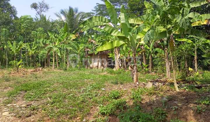 Dijual Tanah , Banyak Bonus Nya... , Harga Bagus 