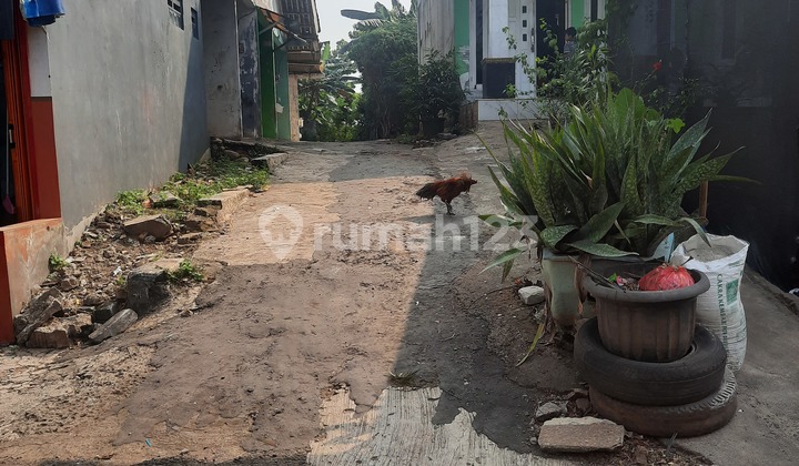 Tanah Bisa Diwakafkan Nempel Masjid Luas 700m Dibojong Kulur Gunung Putri Bogor Tanah Bisa Diwakafkan Nempel Masjid Luas 700m Dibojong Kulur Gunung Putri Bogor