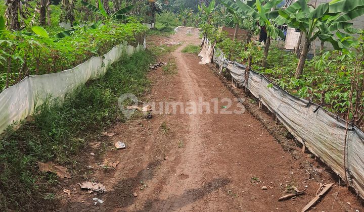 Bu Keras Cuma Rp 1.25jt/m Tnh 441m2 Bonus 60m2 Didekat Cibubur Bu Keras Cuma Rp 1.25jt/m Tnh 441m2 Bonus 60m2 Didekat Cibubur