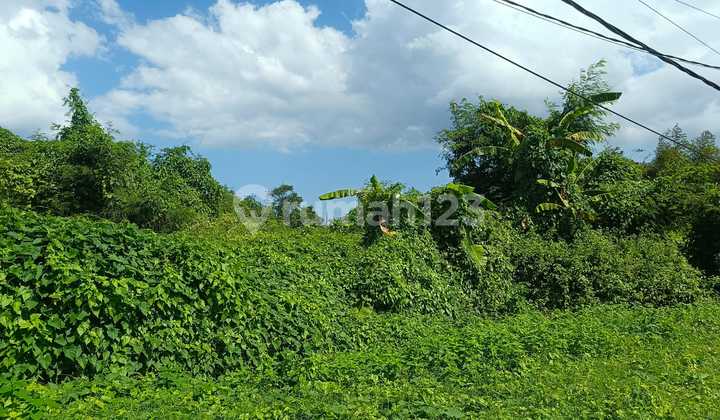 For Sale, 378 SQM Hook Land Near Flamingo Beach Club Sabah Beach, Suitable for Villa, Cafe, Restaurant, Shophouse