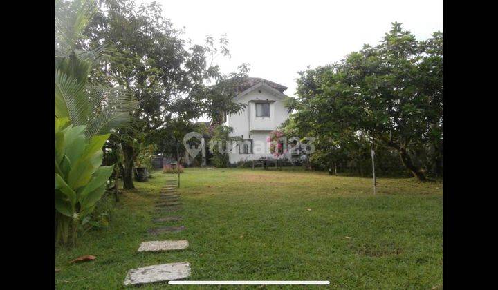 Super Excellent House In The Heart Of Canggu With A Huge Plot Of Land 1