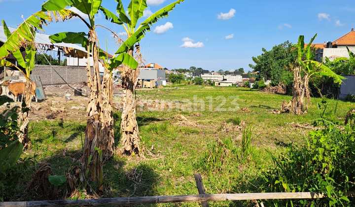 For Sale, Tanah Hook 10 Are di Buduk Munggu Kapal Cocok Kantor, Gudang Ekspedisi, Villa, Workshop For Sale, Tanah Hook 10 Are di Buduk Munggu Kapal Cocok Kantor, Gudang Ekspedisi, Villa, Workshop