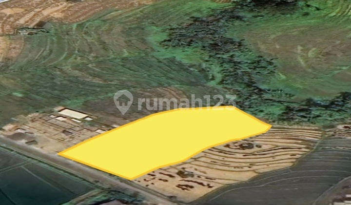 For Sale Dude, 25 Are Land in Babadan Perfect for Padel, Villa Complex, Hotel For Sale Dude, 25 Are Land in Babadan Perfect for Padel, Villa Complex, Hotel