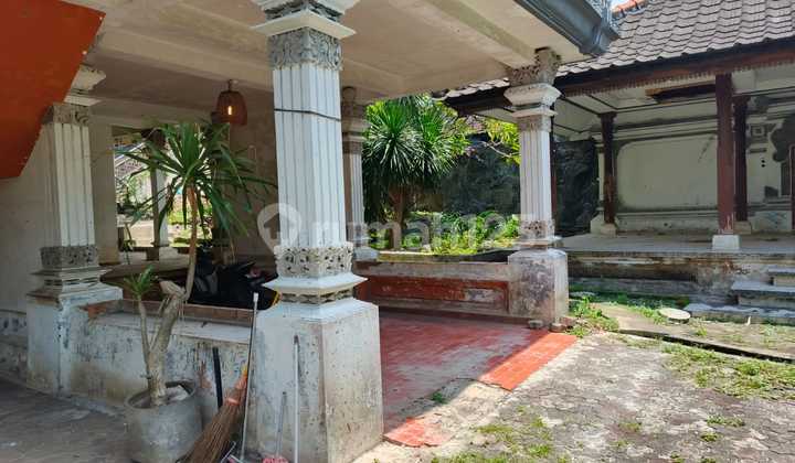 Rumah atau Space 12 Are di Muding Cocok Untuk Dapur MBG Rumah atau Space 12 Are di Muding Cocok Untuk Dapur MBG