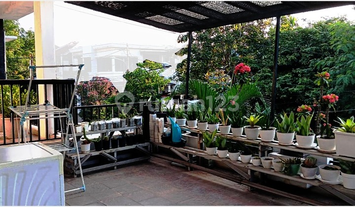 Rumah Modern Suasana Tenang di Kayu Putih, Jakarta Timur Rumah Modern Suasana Tenang di Kayu Putih, Jakarta Timur