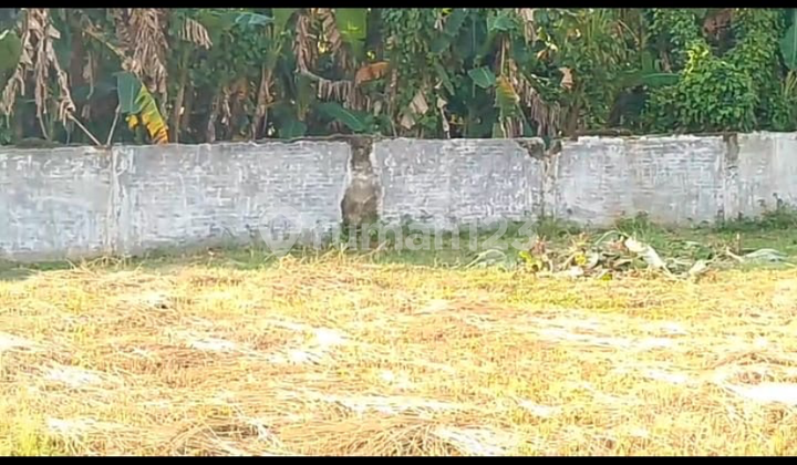 Dijual Tanah Luas Lokasi Strategis Di Medan Marelan Dijual Tanah Luas Lokasi Strategis Di Medan Marelan