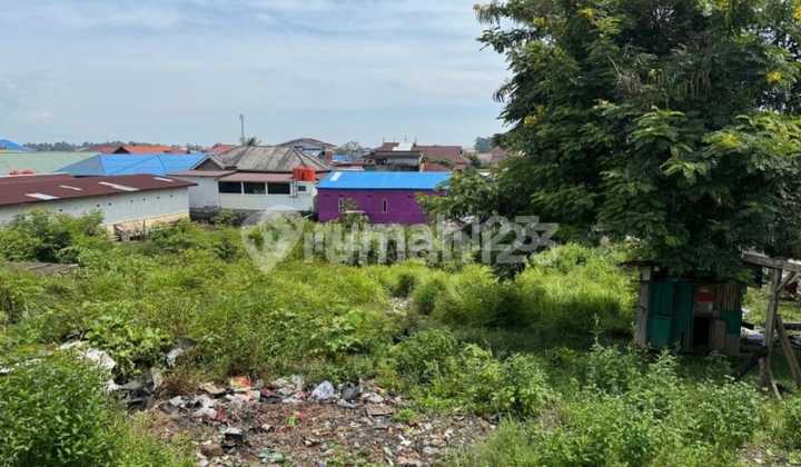 Dijual Cepat Tanah di Morowali Sulawesi Tengah
