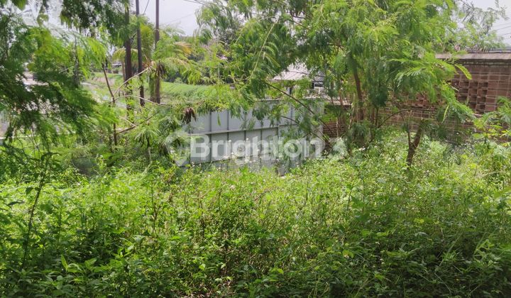 TANAH LUAS DI ARTERI YOS SUDARSO SEMARANG 2