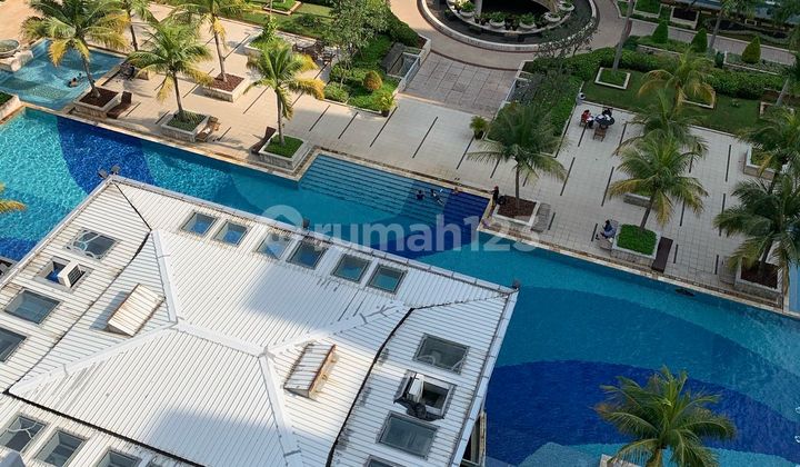 Dijual Apartemen Cbd Pluit Harga Termurah View Kolam Renang 2