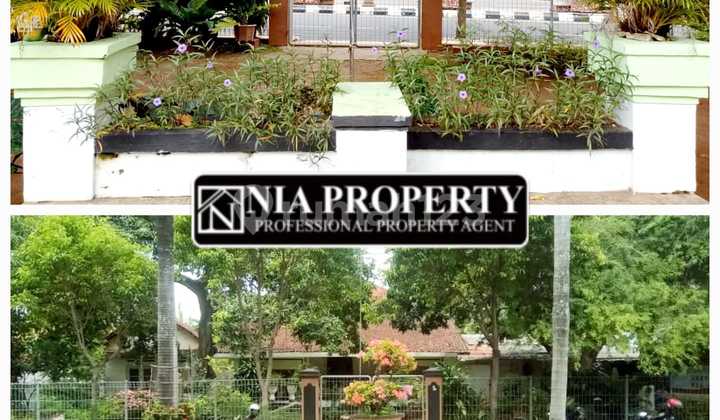 For Sale Classic and Historical House in Tuban City, East Java