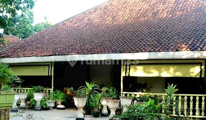 For Sale Classic and Historical House in Tuban City, East Java