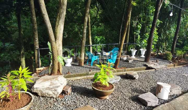 JUAL CEPAT Rumah Mewah 3 Lantai Luas 320 Di Bukit Golf Riverside Cibubur  2