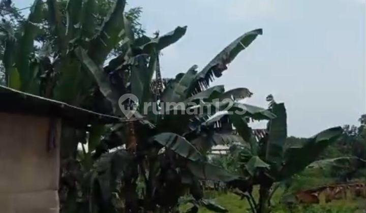 Dijual Tanah Besar Siap Bangun Murah Dekat Pintu Tol Pantura Jawa Tengah 1