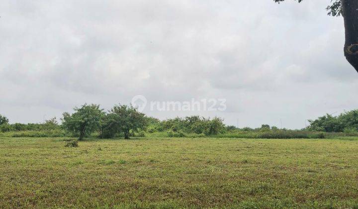 Tanah 23 HA Marunda, Jakarta Utara 2