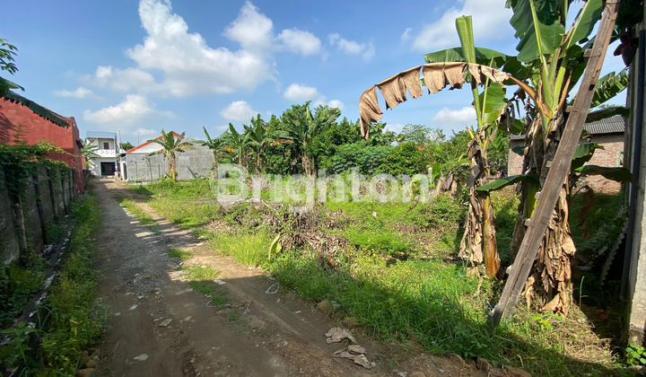 Strategic Land in a Premium Location, Nol Jalan Diponegoro Housing Area, Bangunsari Caruban, Golden Investment Opportunity Strategic Land in a Premium Location, Nol Jalan Diponegoro Housing Area, Bangunsari Caruban, Golden Investment Opportunity