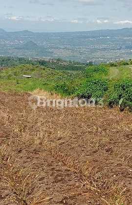 Tanah Luas 73.060 M² Di Malang Cocok Untuk Pertanian.dan Investasi