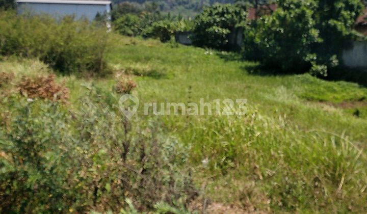 Tanah Strategis Dekat Exit Tol Lawang Cocok Untuk Bisnis Dan Investasi