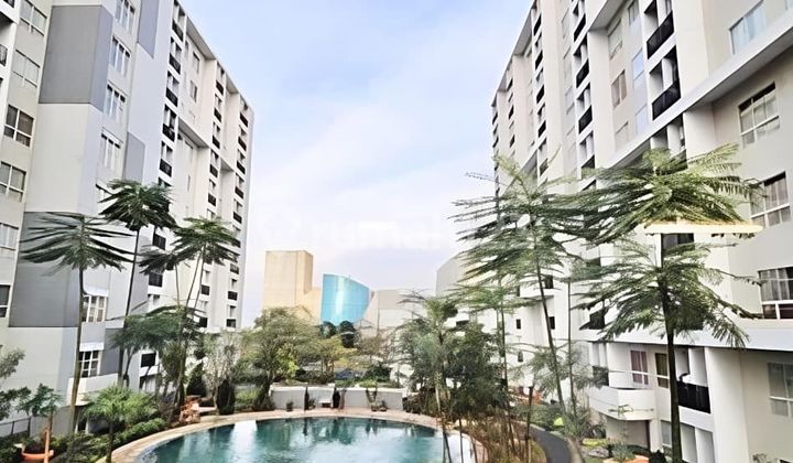 Apartemen 1 Br Scientia Gading Serpong View Kolam Renang