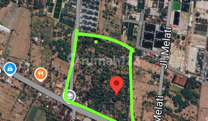 Seririt Land, Buleleng Seririt Land, Buleleng