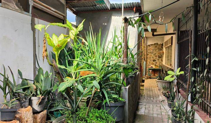Di JUAL ! Rumah sekaligus kamar kost 10 kamar (tersewa & sudah berjalan beberapa tahun) 2