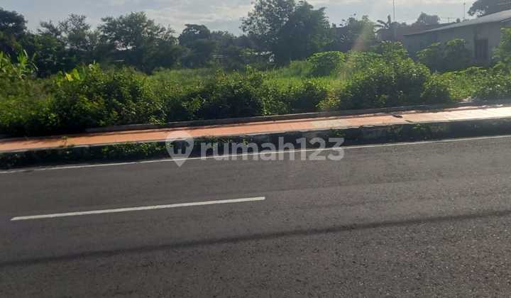 Tanah Strategis Lokasi Tlogo Prambanan Kab Klaten Jawa Tengah Tanah Strategis Lokasi Tlogo Prambanan Kab Klaten Jawa Tengah