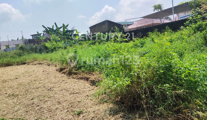 Tanah Kosong Di Kota Semarang Jawa Tengah 2