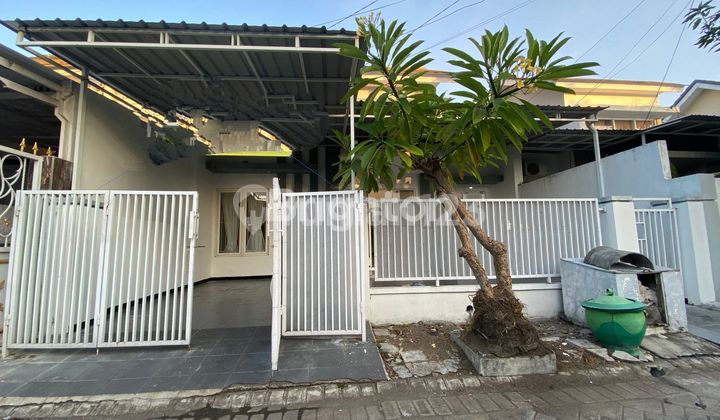 Rumah Baru Renov Surabaya Timur