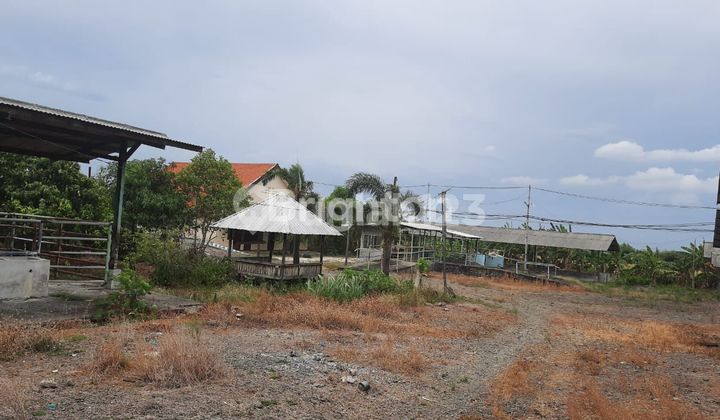 Tanah Strategis di Mojosari SHM Tanah Strategis di Mojosari SHM