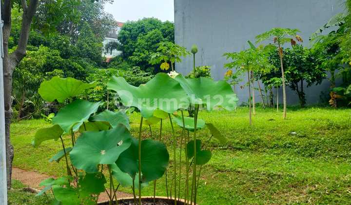 For Sale 726m² (22x33) Land, Lotus Pantai Indah PIK, North Jakarta.