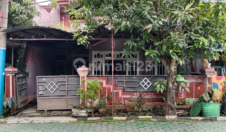 Rumah Pucang Gading Pucang Tama Raya Mranggen Demak Lingkungan Aman Asri Hm Dekat Kampus Stifar Sekolah Tinggi Farmasi 1