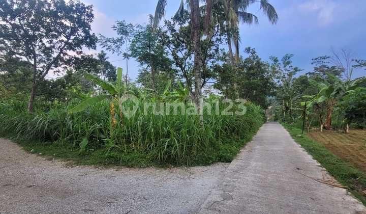 Tanah Pagersari Bergas Kabupaten Semarang Ungaran Dekat Jalan Raya Cocok Untuk Lahan Perkebunan Pertanian 1