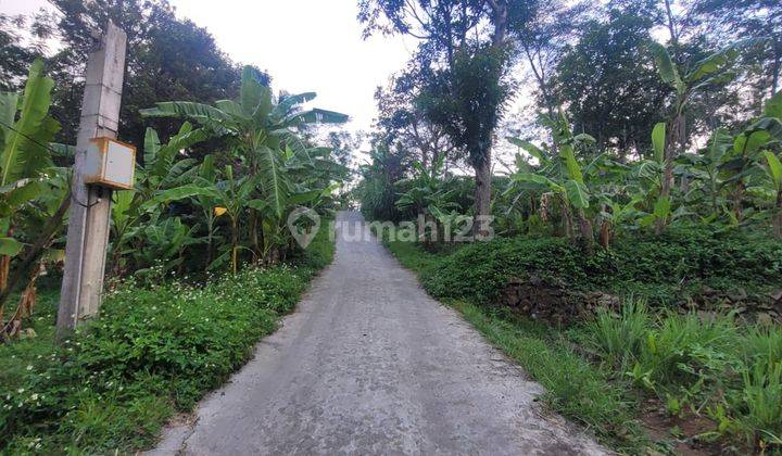 Tanah Pagersari Bergas Kabupaten Semarang Ungaran Dekat Jalan Raya Cocok Untuk Lahan Perkebunan Pertanian 2