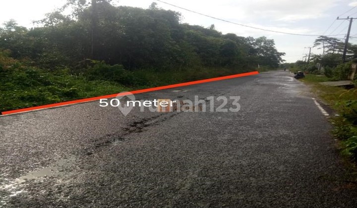 Negotiable Until Deal! 1.25 Ha Wide Land for Sale in Air Bulo, Belitung, Golden Investment Prospect for Warehouse. Negotiable Until Deal! 1.25 Ha Wide Land for Sale in Air Bulo, Belitung, Golden Investment Prospect for Warehouse.