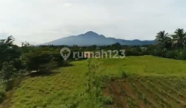The Right Choice for Investment! Road Access Already Built, 6 Hectares of Land for Sale in Ciampea Bogor, Suitable for Residential Villa or Tourist Area The Right Choice for Investment! Road Access Already Built, 6 Hectares of Land for Sale in Ciampea Bogor, Suitable for Residential Villa or Tourist Area