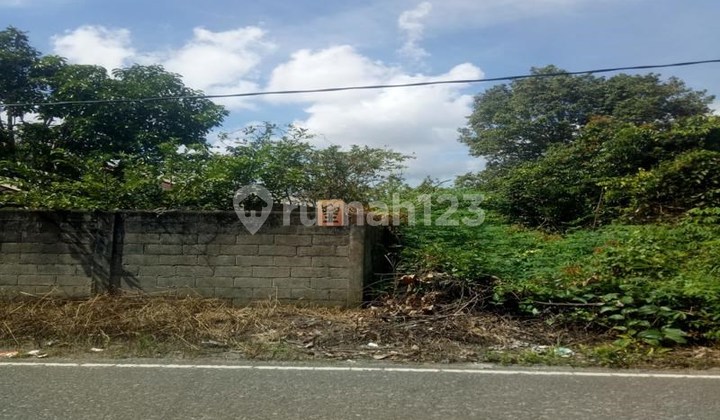 MURAH COCOK UNTUK INVESTASI! JUAL CEPAT TANAH LUAS  DI BELITUNG BISA BANGUN GUDANG DLL