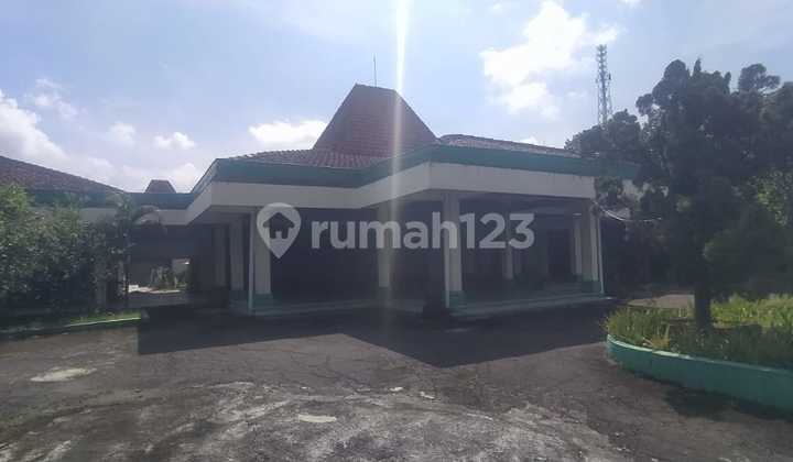 Rumah Legend Untuk Keluarga Besar, Pucangsawit, Jebres, Surakarta
