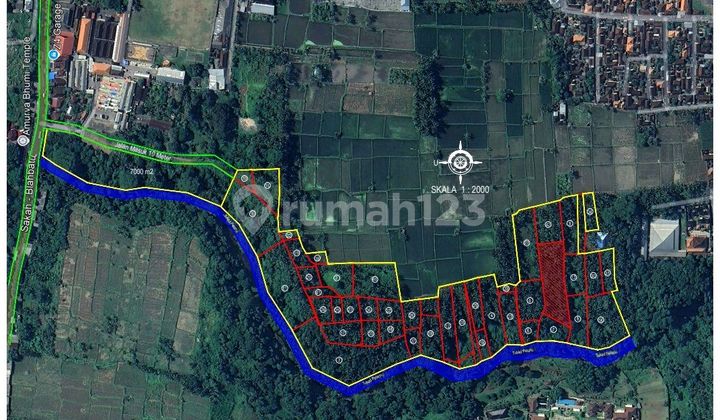 Tanah 46000 Meter Shm Ubud Tanah 46000 Meter Shm Ubud