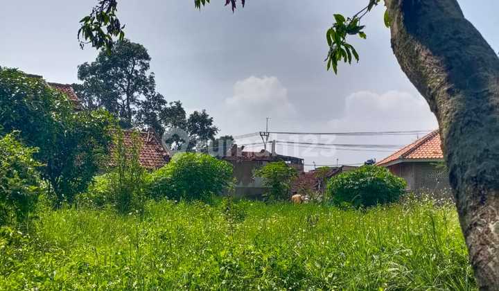 Tanah Murah Rancaekek Akses Mobil Bebas Banjir Tanah Murah Rancaekek Akses Mobil Bebas Banjir