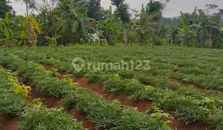 Dijual Tanah Jatinangor Akses Mobil Dekat 4 Kampus Besar