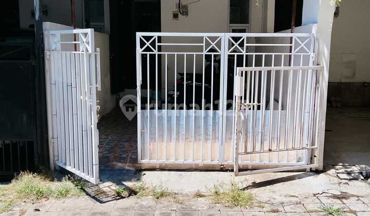 Single Meaning, Bual