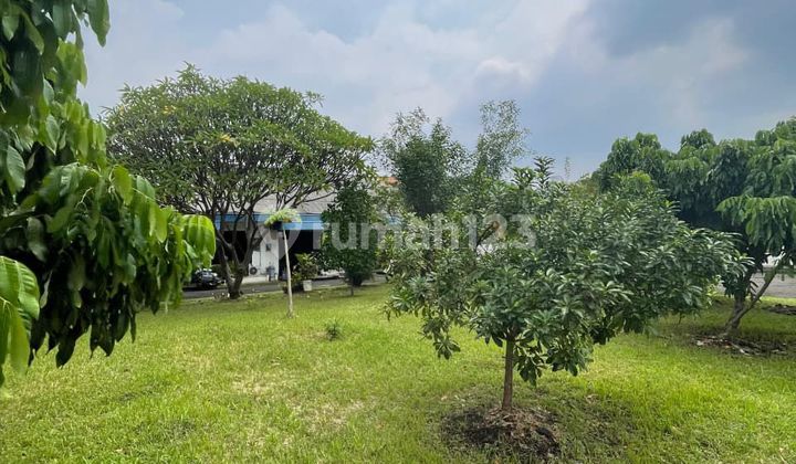 Tanah Komersil Tebet Lokasi Emas Area Bisnis Jakarta Selatan Tanah Komersil Tebet Lokasi Emas Area Bisnis Jakarta Selatan