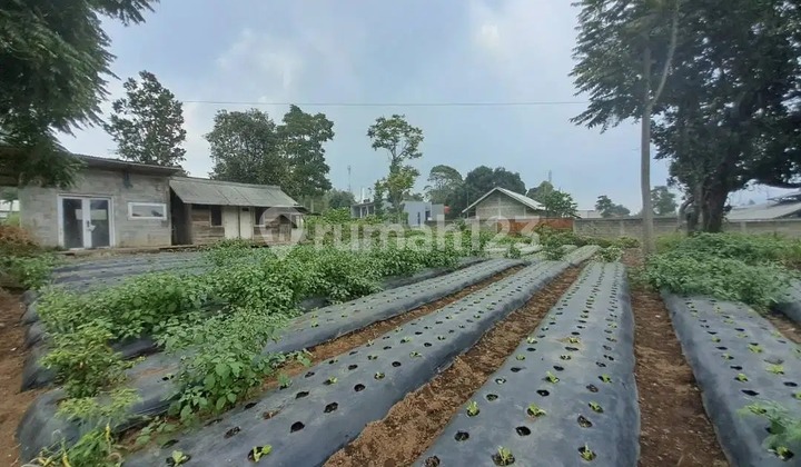 Dijual Murah Tanah Seluas 700 M2 di Lembang Bandung