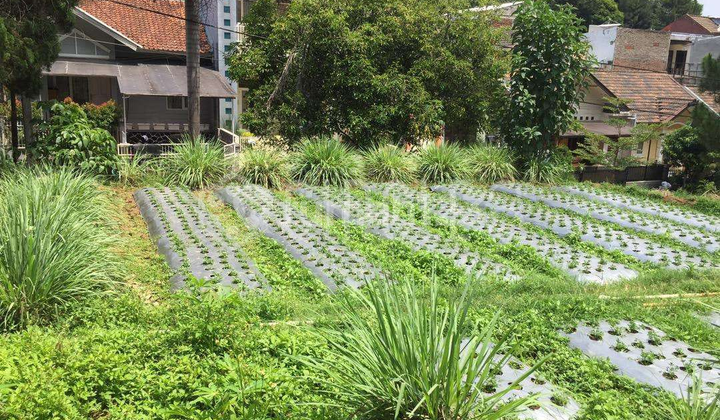 Dijual Tanah Seluas 195 m2 di Setiabudi Regency, Bandung Dijual Tanah Seluas 195 m2 di Setiabudi Regency, Bandung