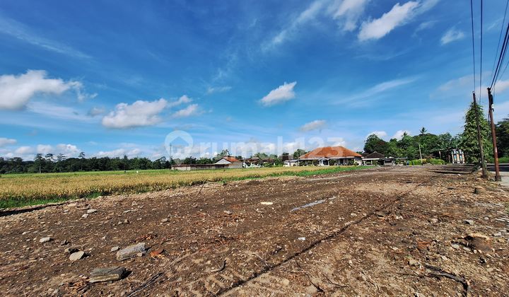 Tanah Kavling Murah 200 Jutaan Dekat Terminal Baru Klaten