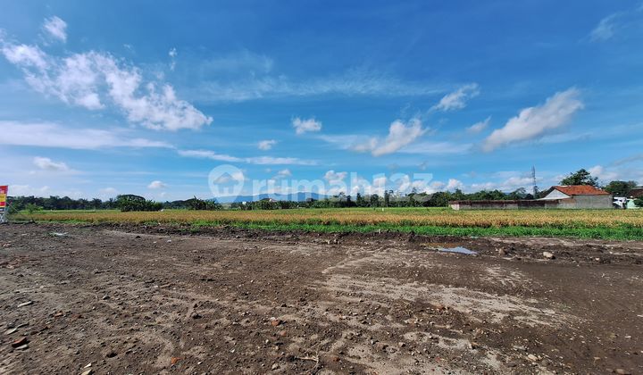 Strategic Land with Certificate of Ownership Price 253 Million in Klaten Strategic Land with Certificate of Ownership Price 253 Million in Klaten